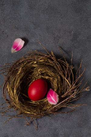 Big red egg in a small nest on a gray background.の写真素材