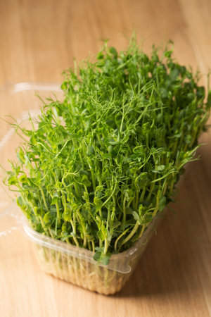 Sprouted pea sprouts, microgreens in a box on a wooden tableの写真素材