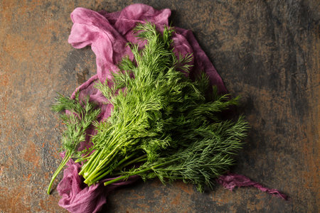 A bunch of fresh dill on purple cheesecloth on a metallic backgroundの写真素材