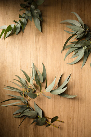 Beautiful sprigs of eucalyptus with silver gray leaves on a wooden backgroundの写真素材