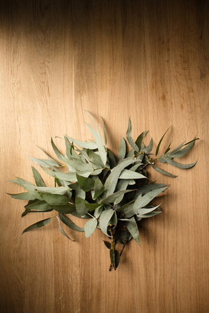 Beautiful sprigs of eucalyptus with silver gray leaves on a wooden backgroundの写真素材