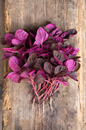 A bunch of fresh purple amaranth on a rustic backgroundの写真素材