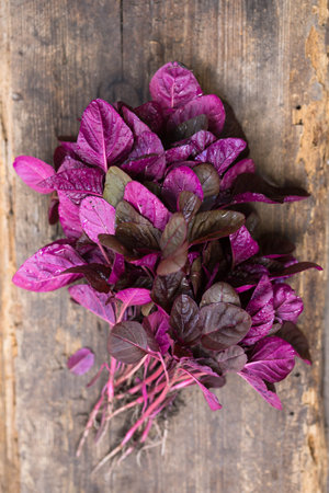 A bunch of fresh purple amaranth on a rustic backgroundの写真素材