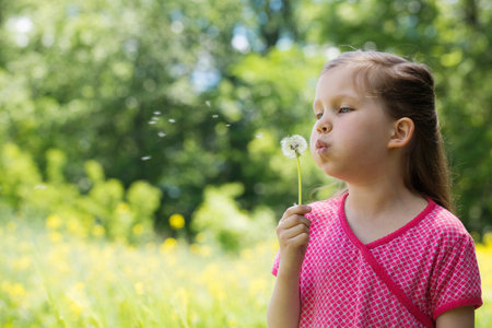 Little cute girl with a dandelion in her hands in the summer in the fieldの写真素材