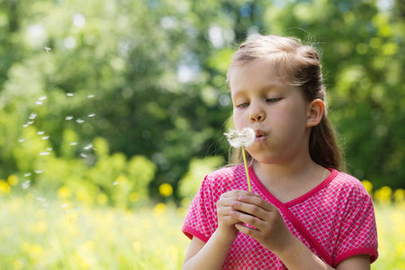 Little cute girl with a dandelion in her hands in the summer in the fieldの写真素材