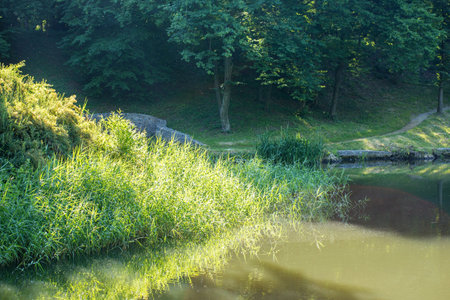 Morning sunny landscape in the park near the lake in Oleksandria Park, Bila Tserkva, Ukraineの写真素材