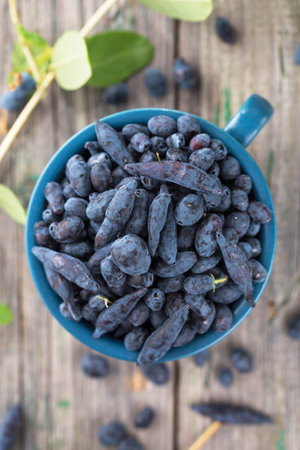 Juicy ripe honeysuckle in a blue cup on a wooden backgroundの写真素材