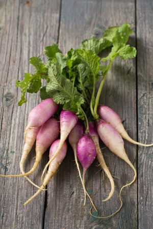 Fresh spring radish with purple-white skin with leaves on a wooden boardの写真素材