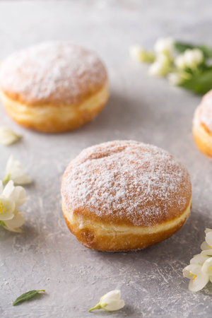Berliner donuts in powdered sugar with jasmine flowers on a gray backgroundの写真素材