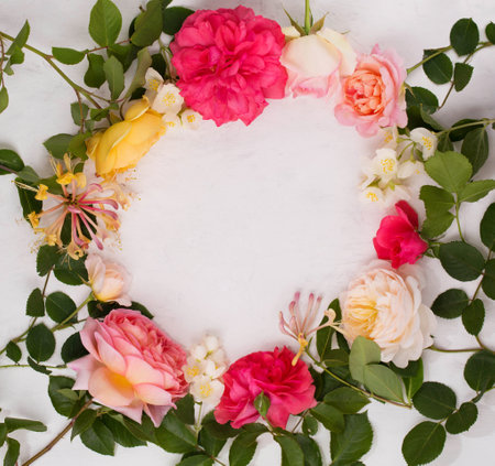 a wreath of English roses, jasmine and honeysuckle on a light background. Frame of flowersの写真素材