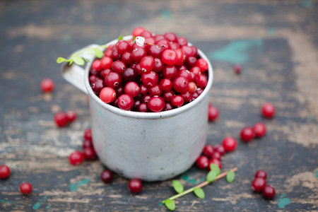 ripe juicy cranberry in vintage metal cup on dark backgroundの写真素材