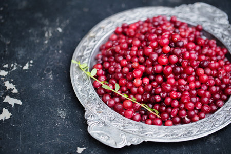 Ripe juicy cranberries in a metal tray on a bed of cranberries in the gardenの写真素材