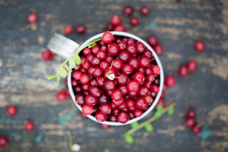 ripe juicy cranberry in vintage metal cup on dark backgroundの写真素材