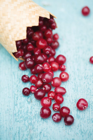 a ripe juicy cranberry berry spilled out of a small wicker basket on a blue background