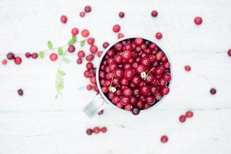 ripe juicy cranberry in vintage metal cup on light backgroundの写真素材