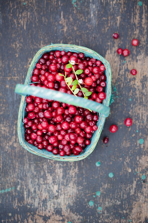 sour wild berry cranberries in a blue wicker basket on a rustic backgroundの写真素材