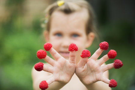 A little cheerful girl put a raspberry on her finger in the gardenの写真素材