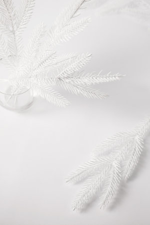 White Christmas tree branches in a vase on a white background. Minimalist background for Christmas letteringの写真素材