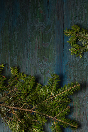 Christmas tree branches on a rustic dark blue wooden backgroundの写真素材