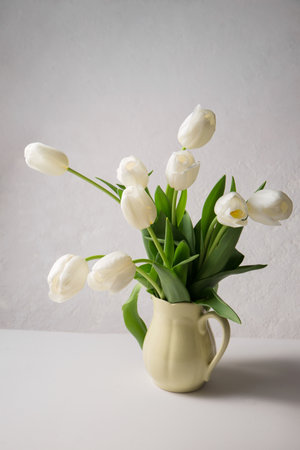 A bouquet of beautiful white tulips in a yellow jugの写真素材