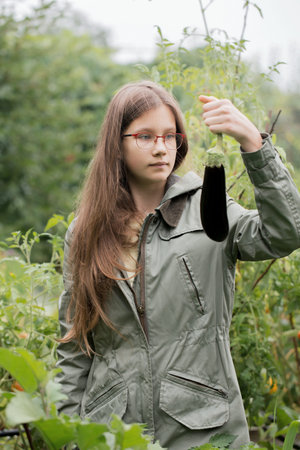 A girl is holding a ripe eggplant in her hand. She is wearing a green jacket and glassesの写真素材