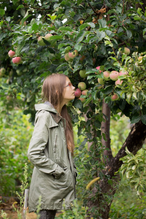 A teenage girl in a green jacket picks ripe apple from a tree in the garden