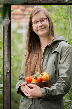 A teenage girl in a jacket harvests tomatoes in a greenhouseの写真素材