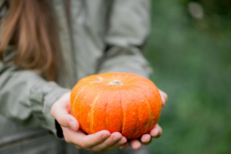 A woman in a jacket holds a small orange pumpkin in her hands while standing in the garden. close-upの写真素材
