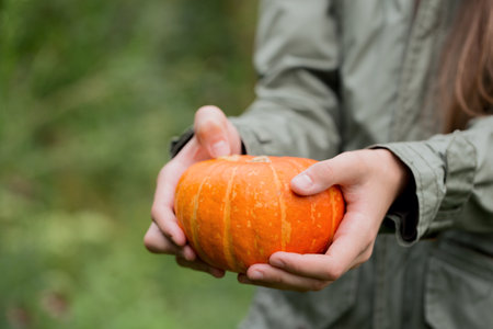 A woman in a green jacket holds a small pumpkin in her hands while standing in the garden. close-upの写真素材