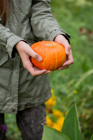 A woman in a jacket holds a orange pumpkin in her hands while standing in the garden. close-upの写真素材