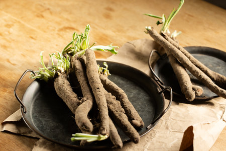Sprouted scorzonera roots in a metal vintage trays on a wooden tableの写真素材