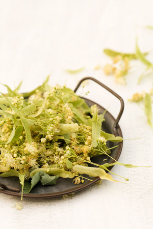 Lime blossom for tea on a vintage metal tray. Linden flower on a white backgroundの写真素材