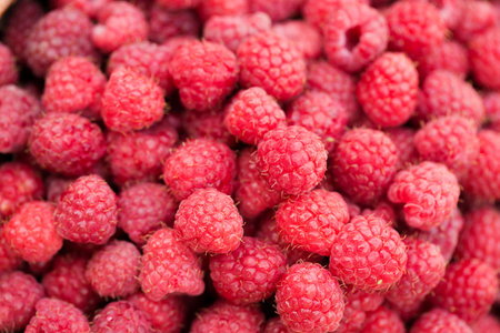 A wicker basket full of ripe raspberries on the tableの写真素材