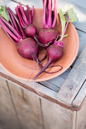 Fresh organic beets, with tops in a bowlの写真素材
