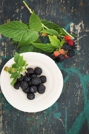 Black forest berries in a clay bowl on an old wooden tableの写真素材