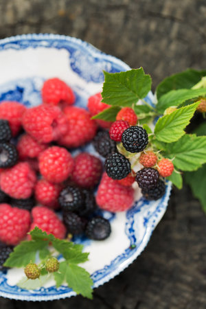 Ripe raspberries and wild blackberries on a vintage plate