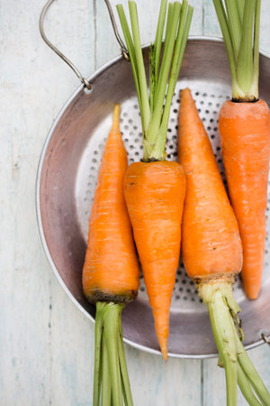 Fresh juicy farm carrot with green top, top view