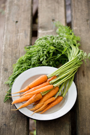 Fresh juicy farm carrot with green top, top viewの写真素材