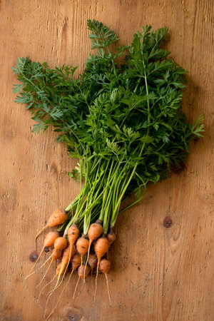 Young juicy round carrot with green leaves on a wooden backgroundの写真素材