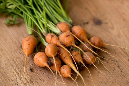 Young juicy round carrot with green leaves on a wooden backgroundの写真素材