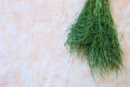 Watercress seeds are drying in a bouquet on the wallの写真素材