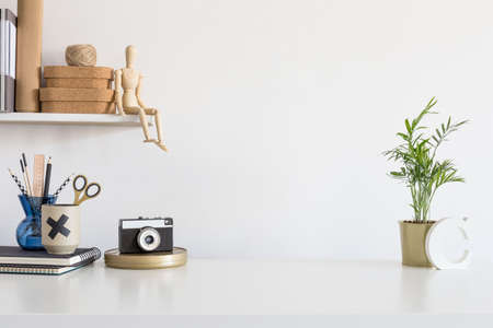 Cropped shot of creative workspace with camera, stationery and plants on white tableの写真素材