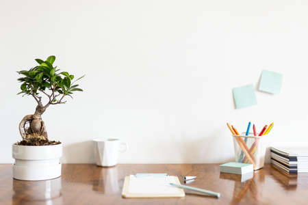 Home office desk with notepad, colorful pencils and bonsai tree. Distance learning concept.の写真素材