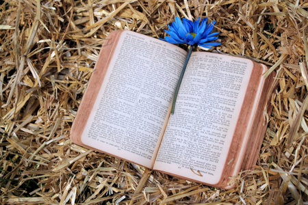 Old Bible With Flower Resting in Hay