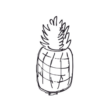 Pineapple hand drawn vector illustration. Isolated on white background.のイラスト素材