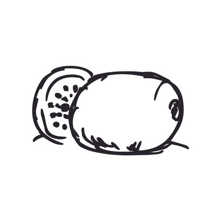 kiwifruit icon. Hand drawn illustration of kiwi vector icon for web designのイラスト素材