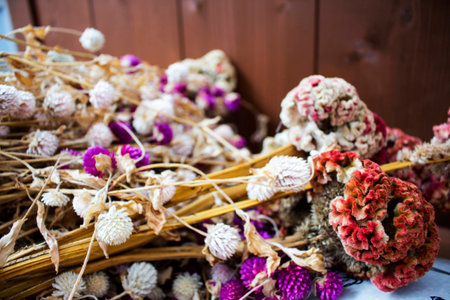A beautiful background dry cockscomb and Globe amaranth.の写真素材
