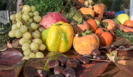Autumn fruits and vegetables on a wooden table. Autumn background.