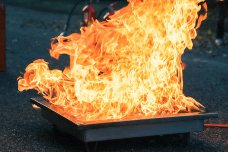 Fire in the park. Fire fighting equipment. Firefighters extinguish fire.