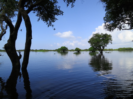 Sky reflected in water, Tonle Sapの写真素材